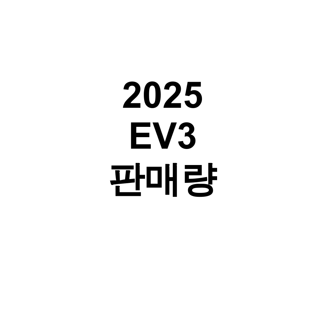2025 EV3 판매량