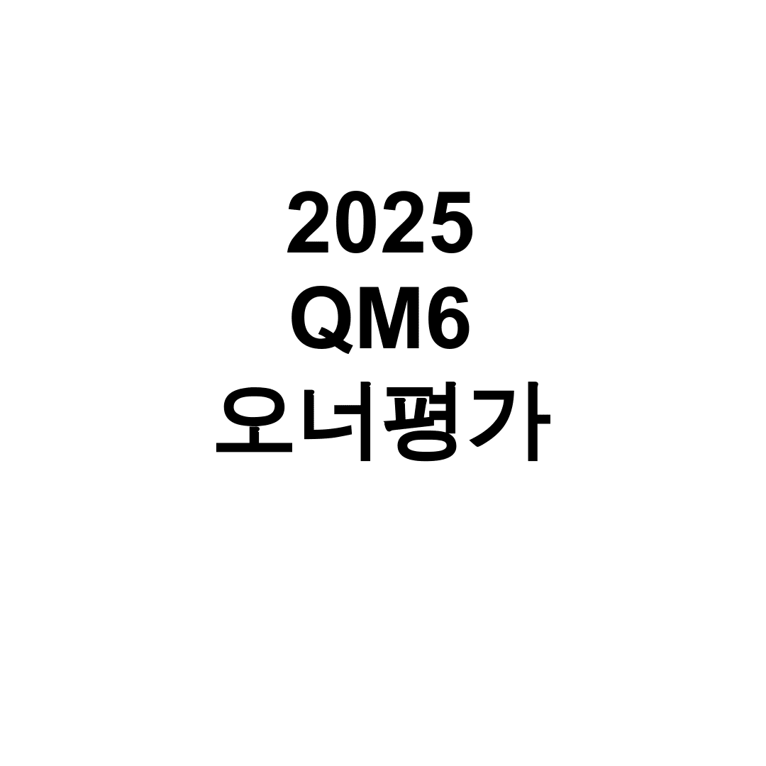 2025 QM6 오너평가