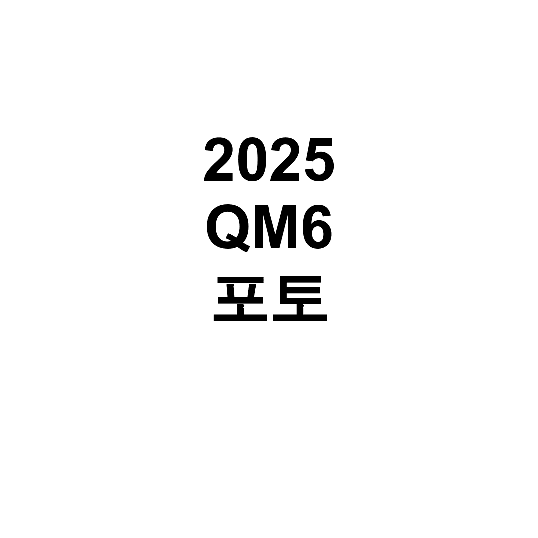 2025 QM6 포토