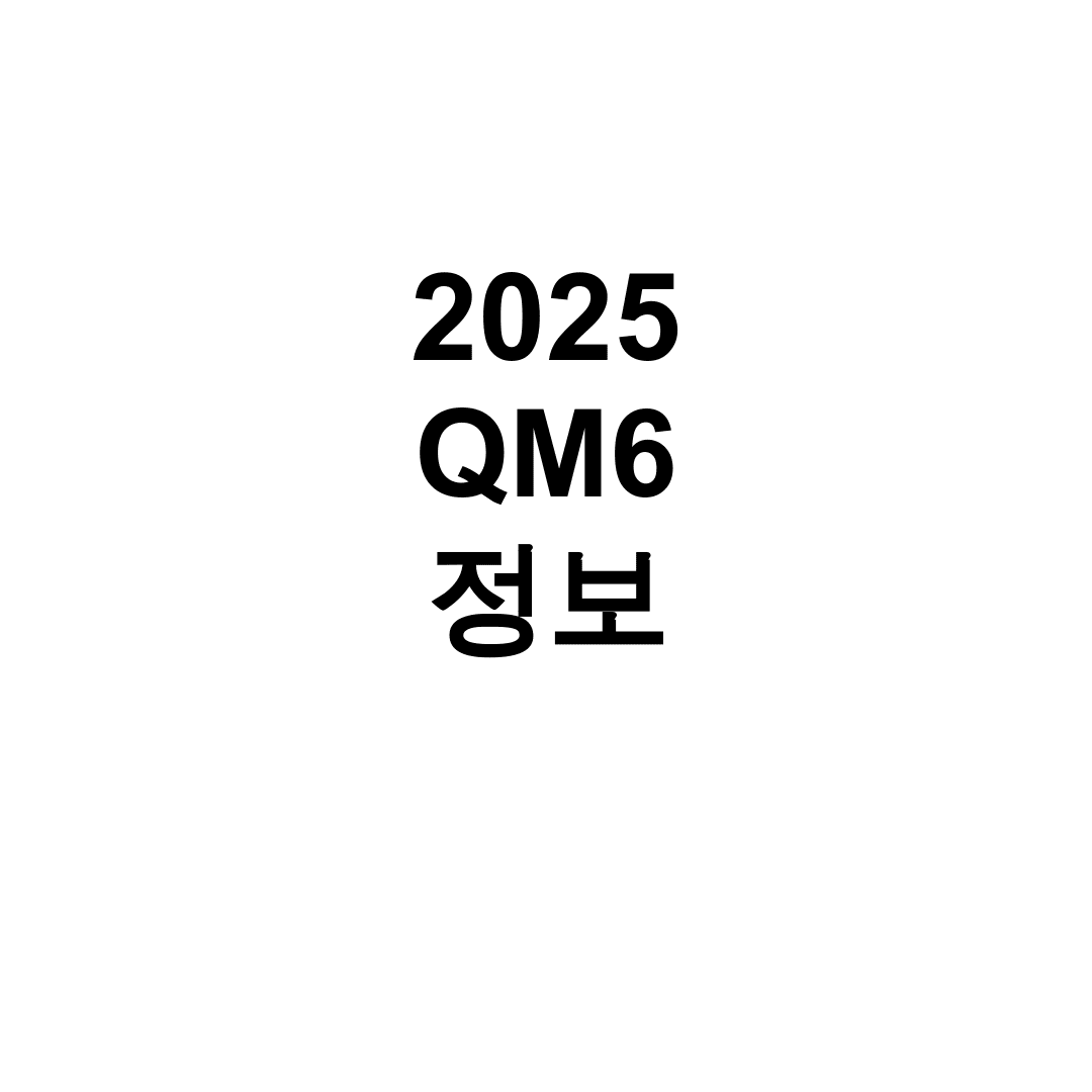 2025 QM6 정보