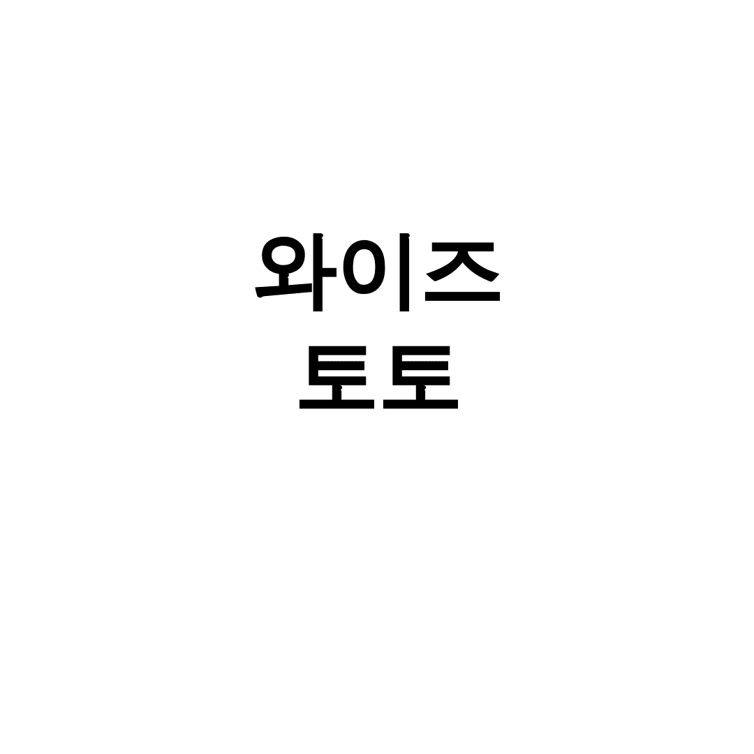와이즈 토토