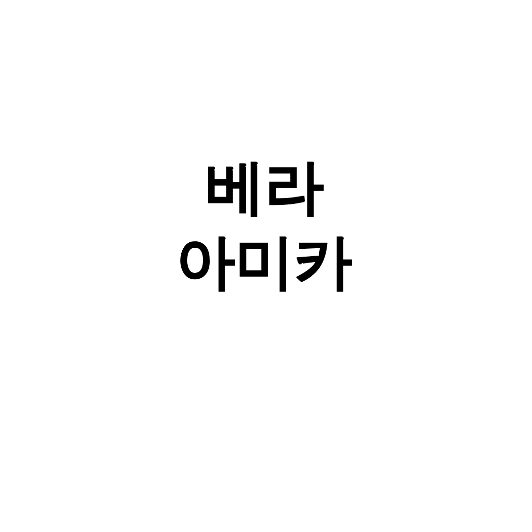 베라 아미카