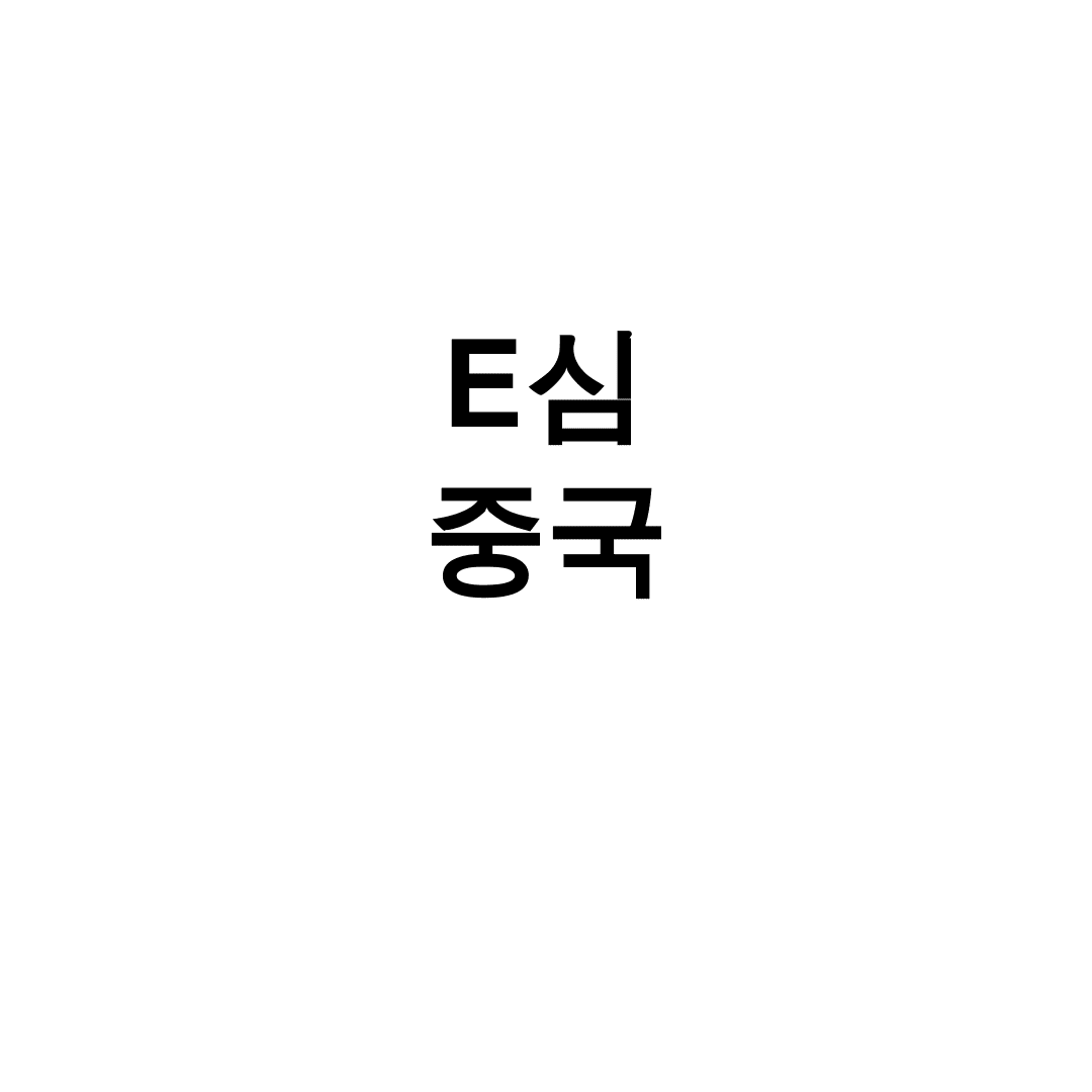 E심 중국